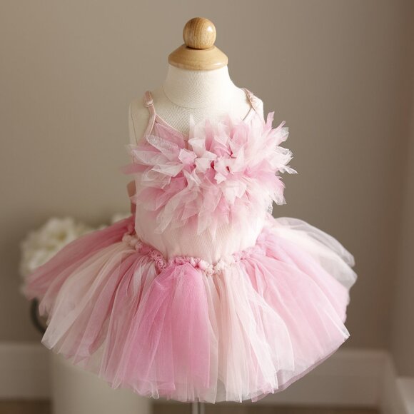 Tut Du Monde Other - Tutu Du Monde Bebe Tutu Valeria Dress Pink Petal Rose Quartz Portrait Party NWT